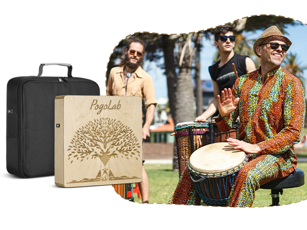Pogolab Portable Cajon with Sn - Musical Instrument Cajon avis et prix