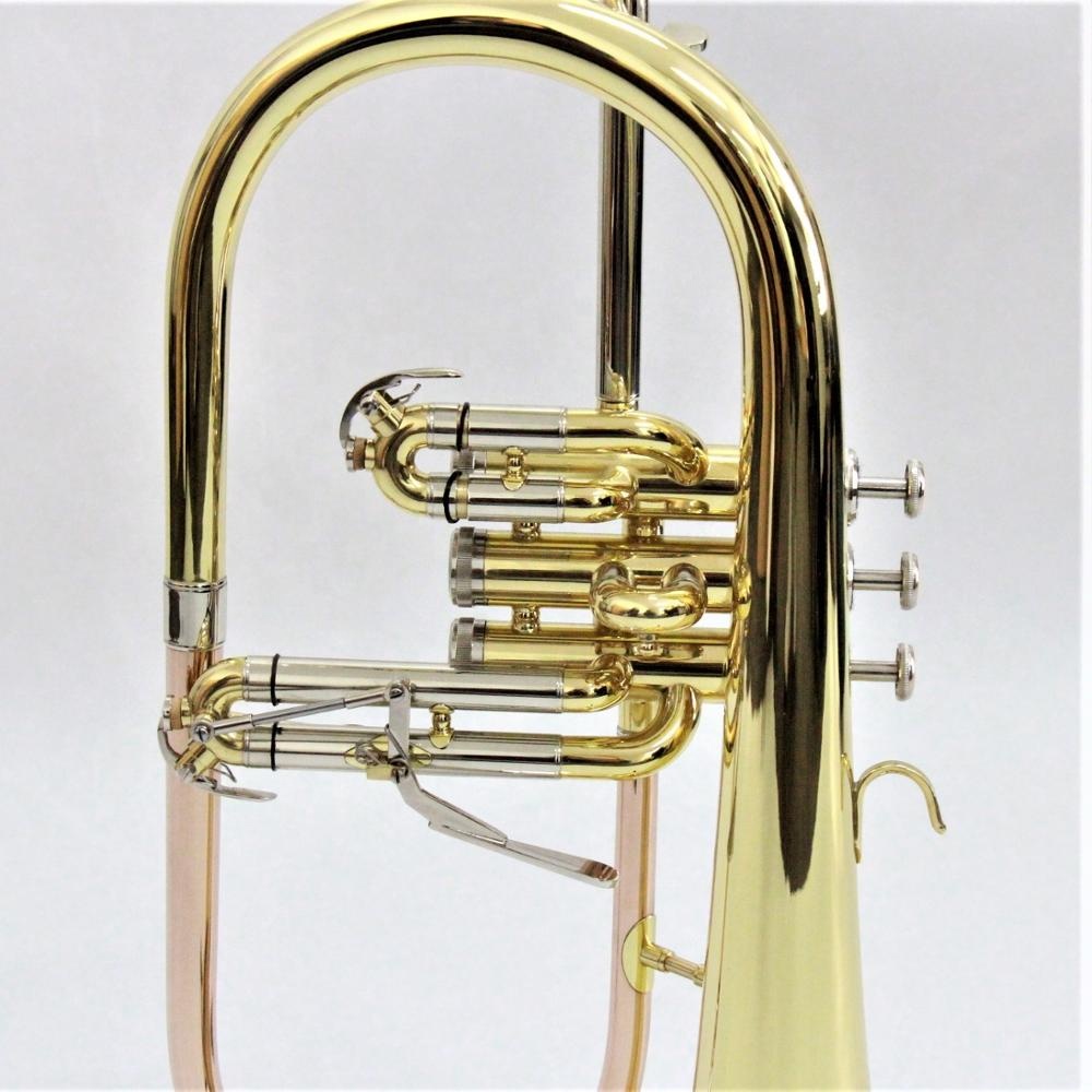 Top Grade Flugelhorn Professio - Musical Instruments Online avis et prix