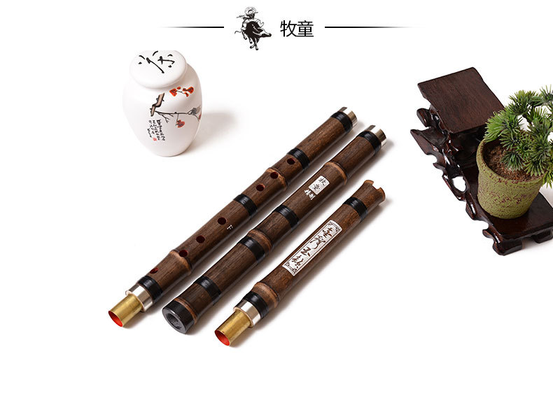Chinese Bamboo Flauta Xiao Ver - Musical Instrument Xiao avis et prix