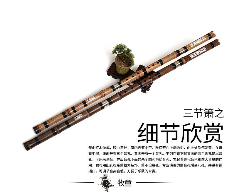 Chinese Bamboo Flauta Xiao Ver - Musical Instrument Xiao avis et prix