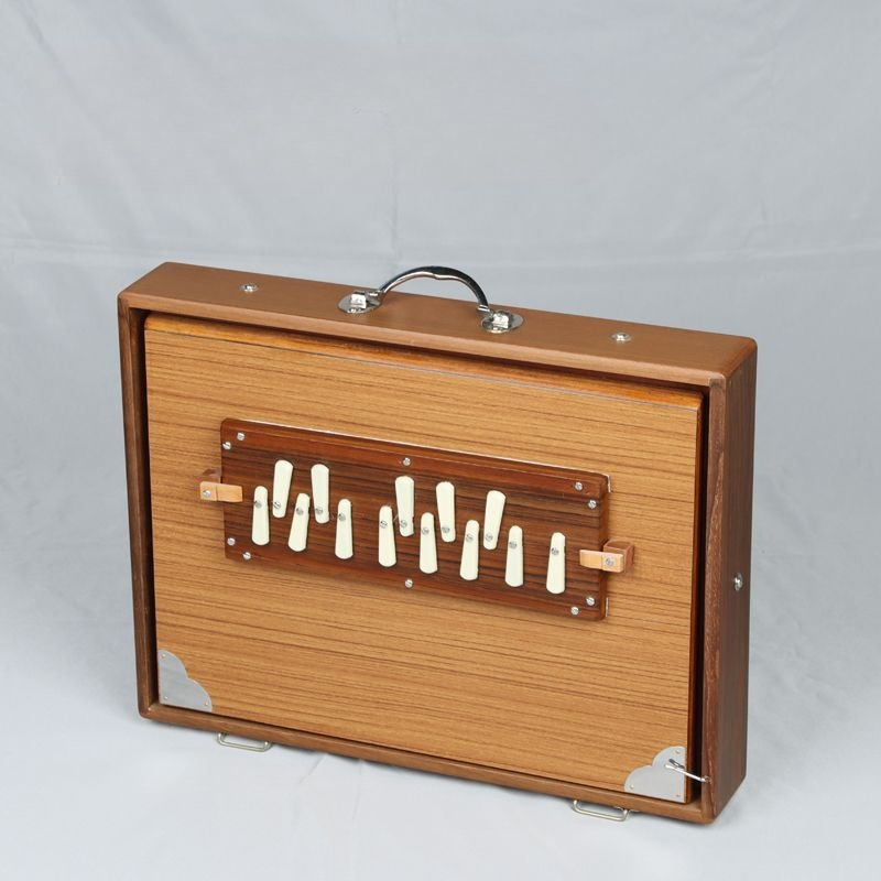 India Singing Box Wooden Medit - Musical Instrument In India avis et prix