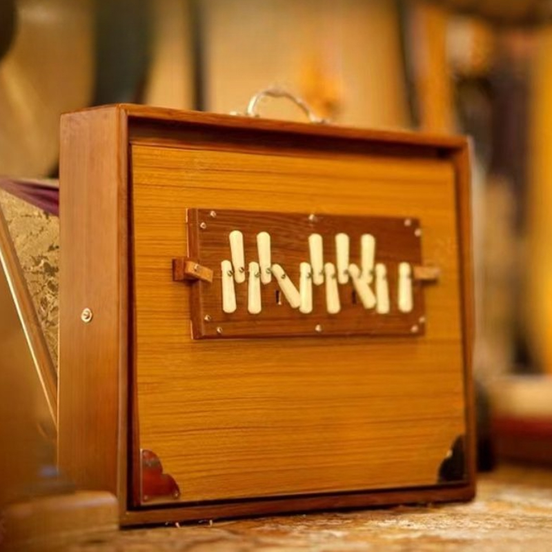 India Singing Box Wooden Medit - Musical Instrument In India avis et prix