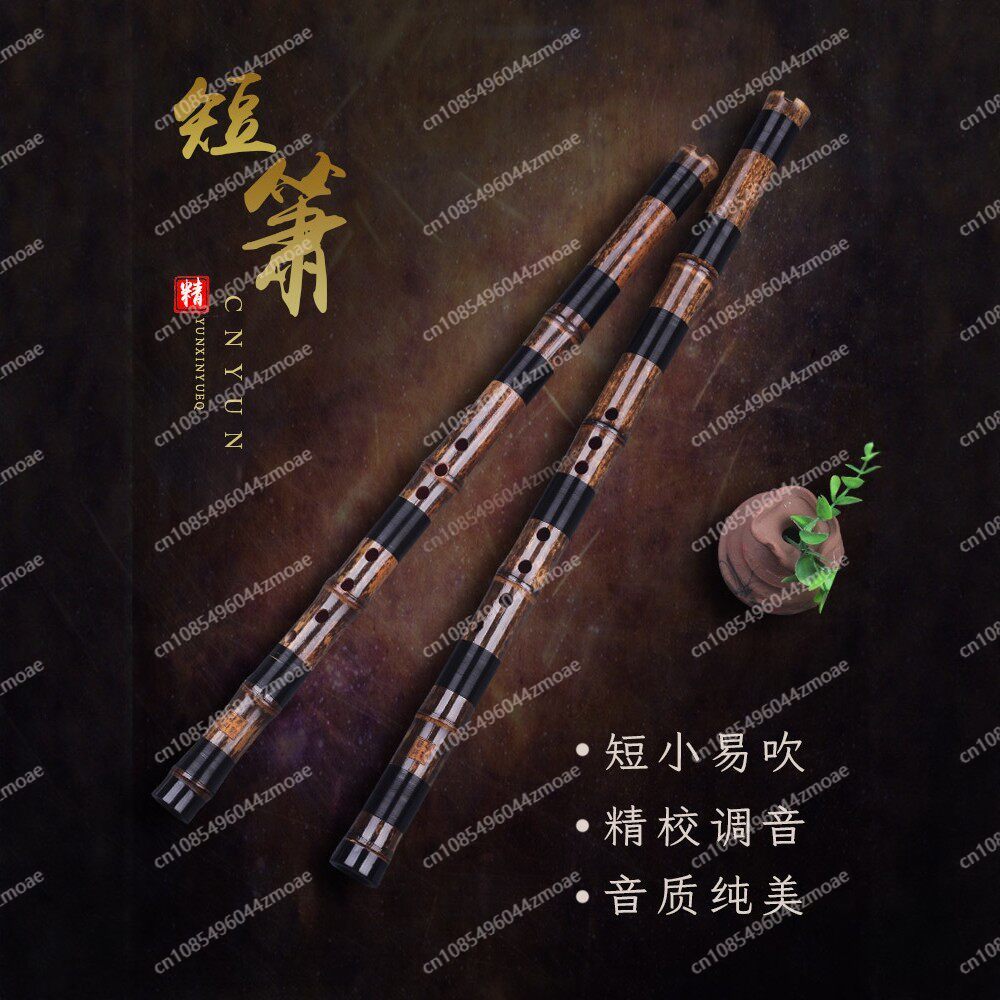 Professional play hole flute o - Musical Instrument Xiao avis et prix