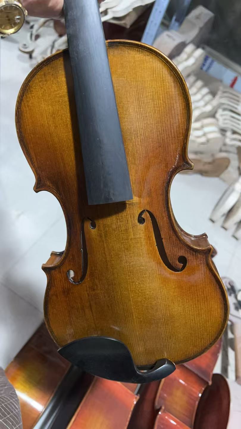 Musical Instruments 4/4 Carvin - Musical Instruments Online avis et prix
