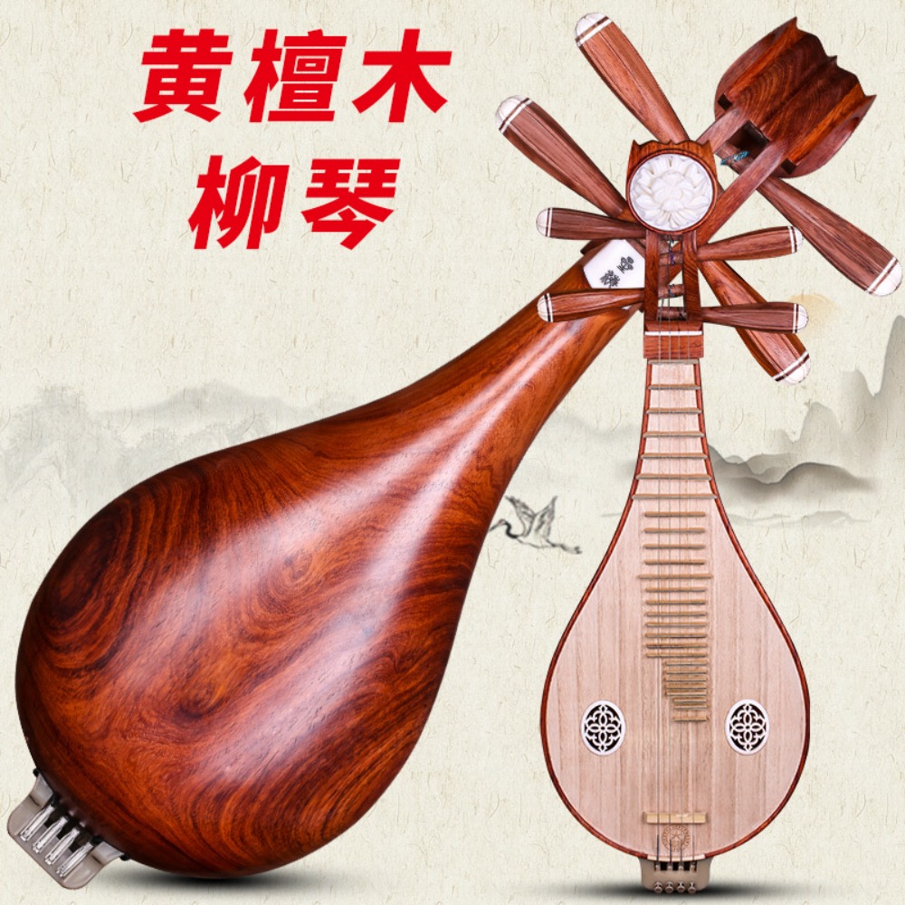 Beijing Xinghai 8414-A Rosewoo - Musical Instrument With A avis et prix