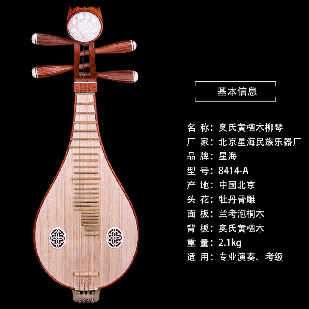 Beijing Xinghai 8414-A Rosewoo - Musical Instrument With A avis et prix