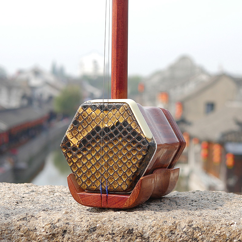Professional Dunhuang Brand 06 - Musical Instrument All avis et prix