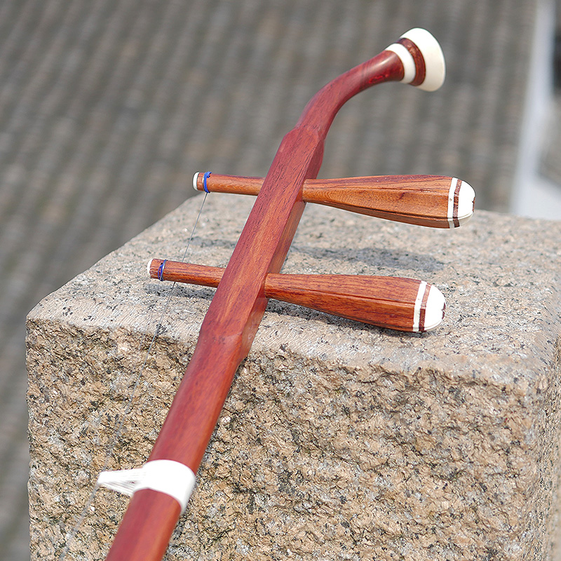 Professional Dunhuang Brand 06 - Musical Instrument All avis et prix