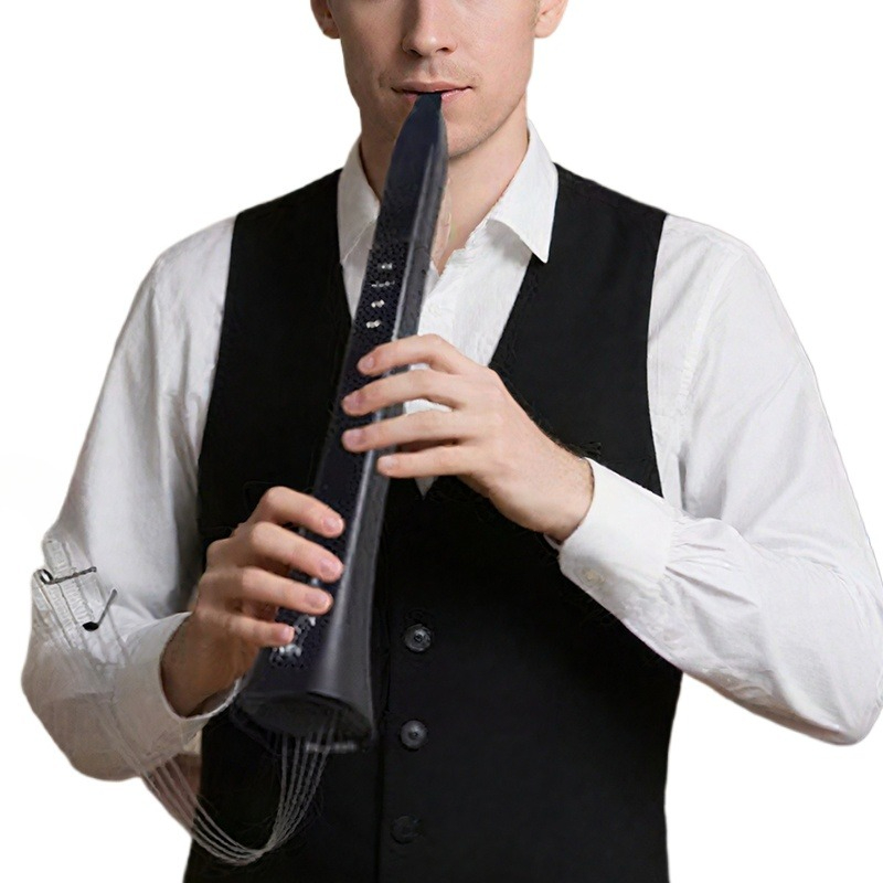 Portable Electronic Wind Instr - Musical Instrument With A avis et prix