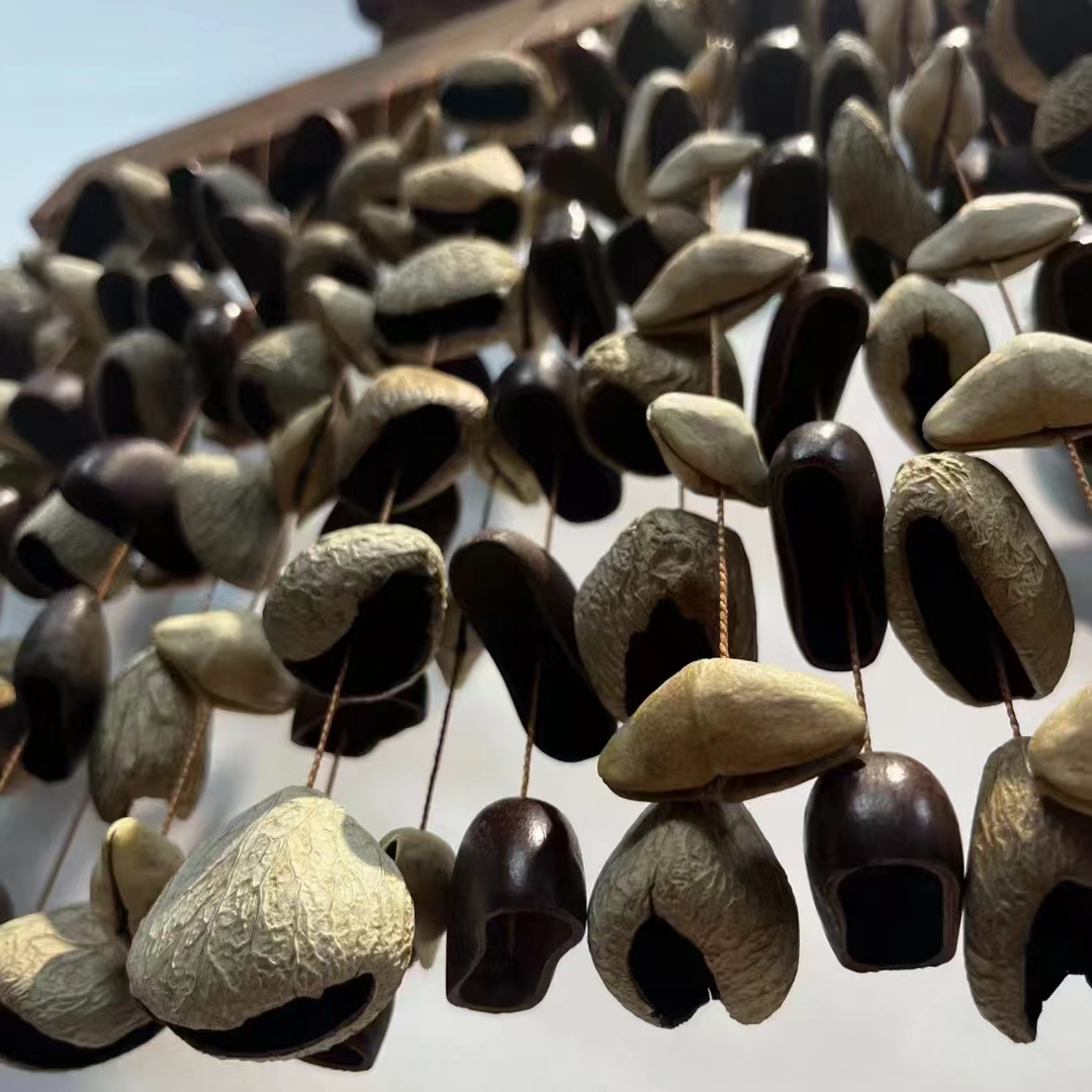 Fruit Shell Meditation Chimes  - Musical Instrument Chimes avis et prix