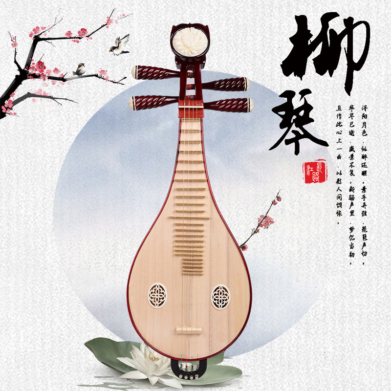 Professional Performance & Gra - Musical Instrument With A avis et prix