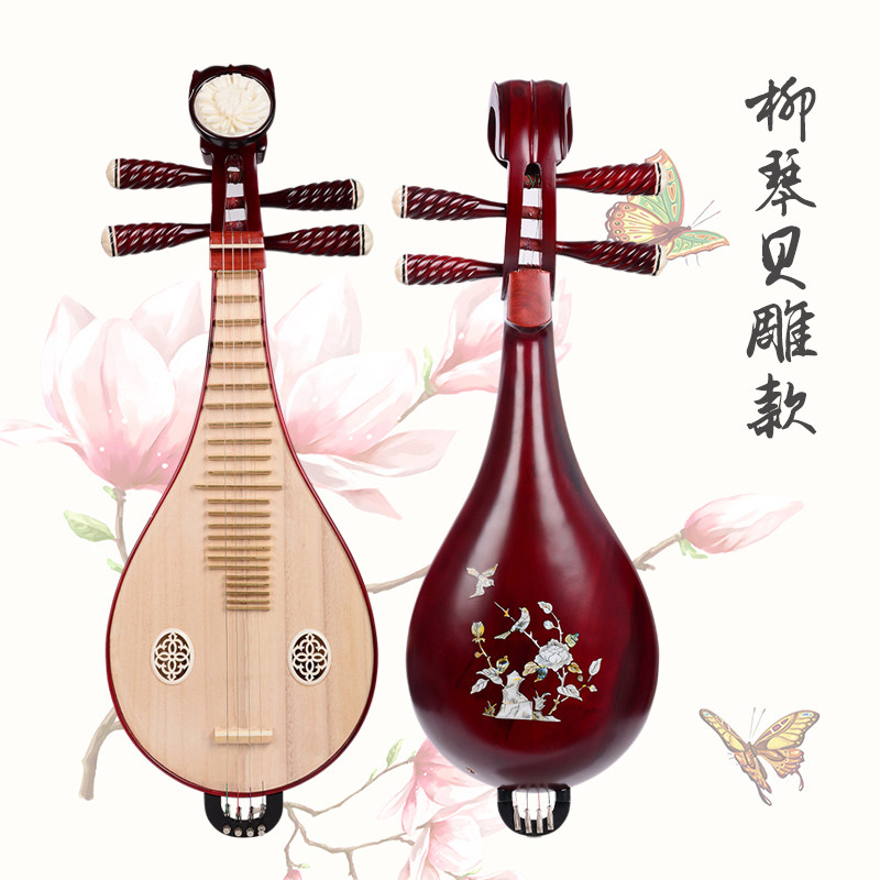 Professional Performance & Gra - Musical Instrument With A avis et prix