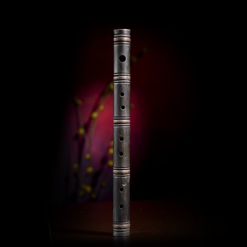 Handmade Transverse Flute Begi - Musical Instrument Groups avis et prix