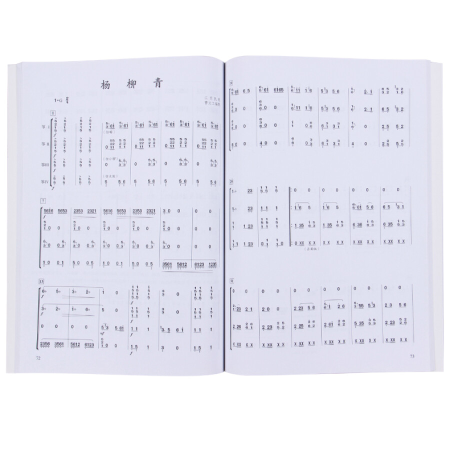 Chinese Guzheng Ensemble Music - Musical Instrument Groups avis et prix