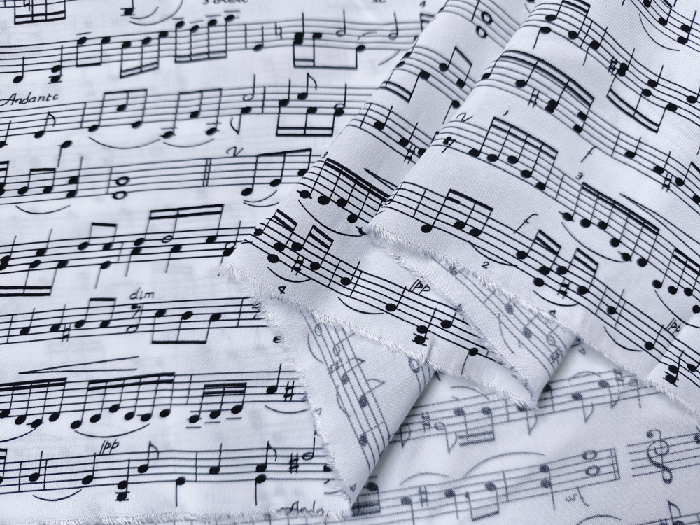 50cm*140cm Beautiful Music Ins - Musical Instrument Xiao avis et prix